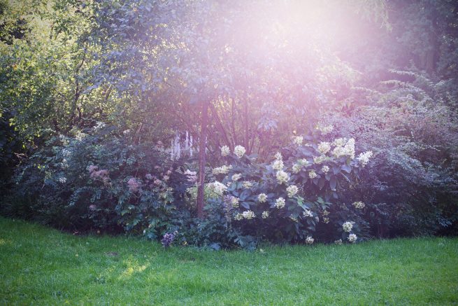 Landschaft, travel, travel photography, travel photos, Reisefotografie, Reise, Landschaft, Landschaftsfotografie, landscape, landscape photography