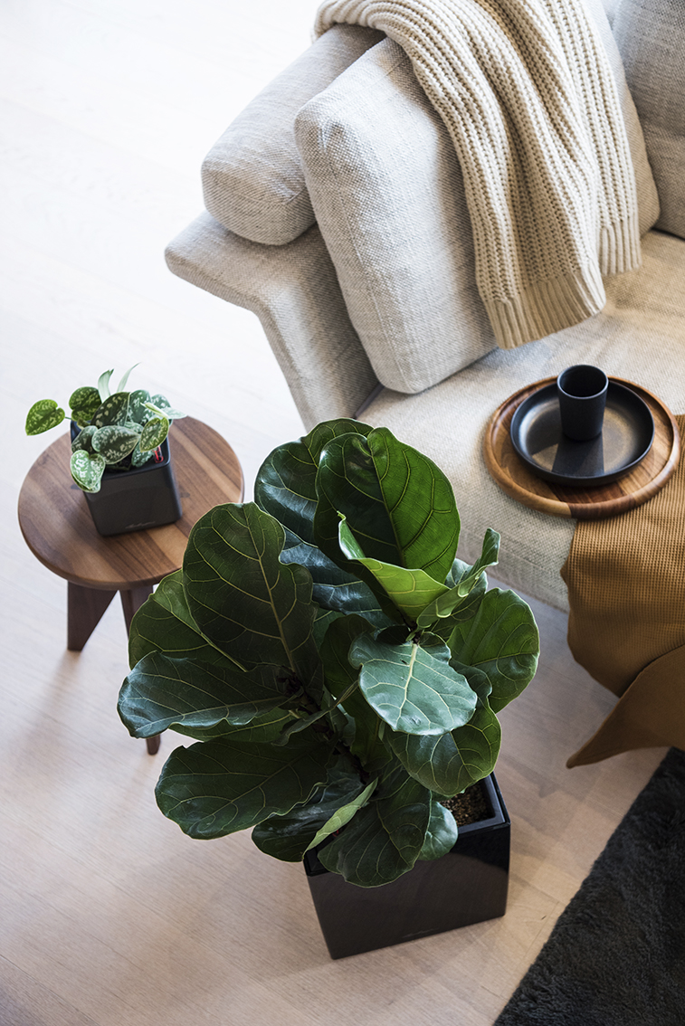 Interiorfotografie Homeware