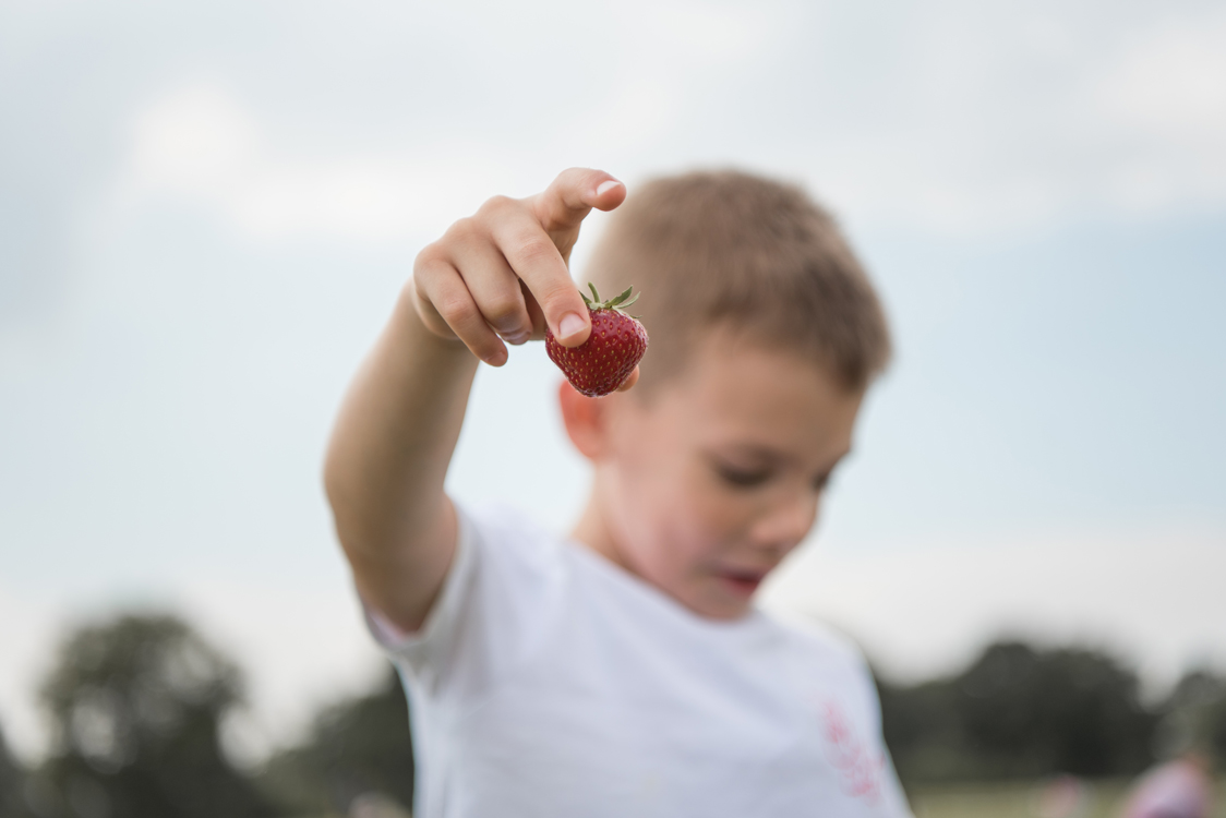 Kidsfotografie Lifestylefotografie in Hamburg für Social Media Familie pflückt Erdbeeren im Erdbeerfeld