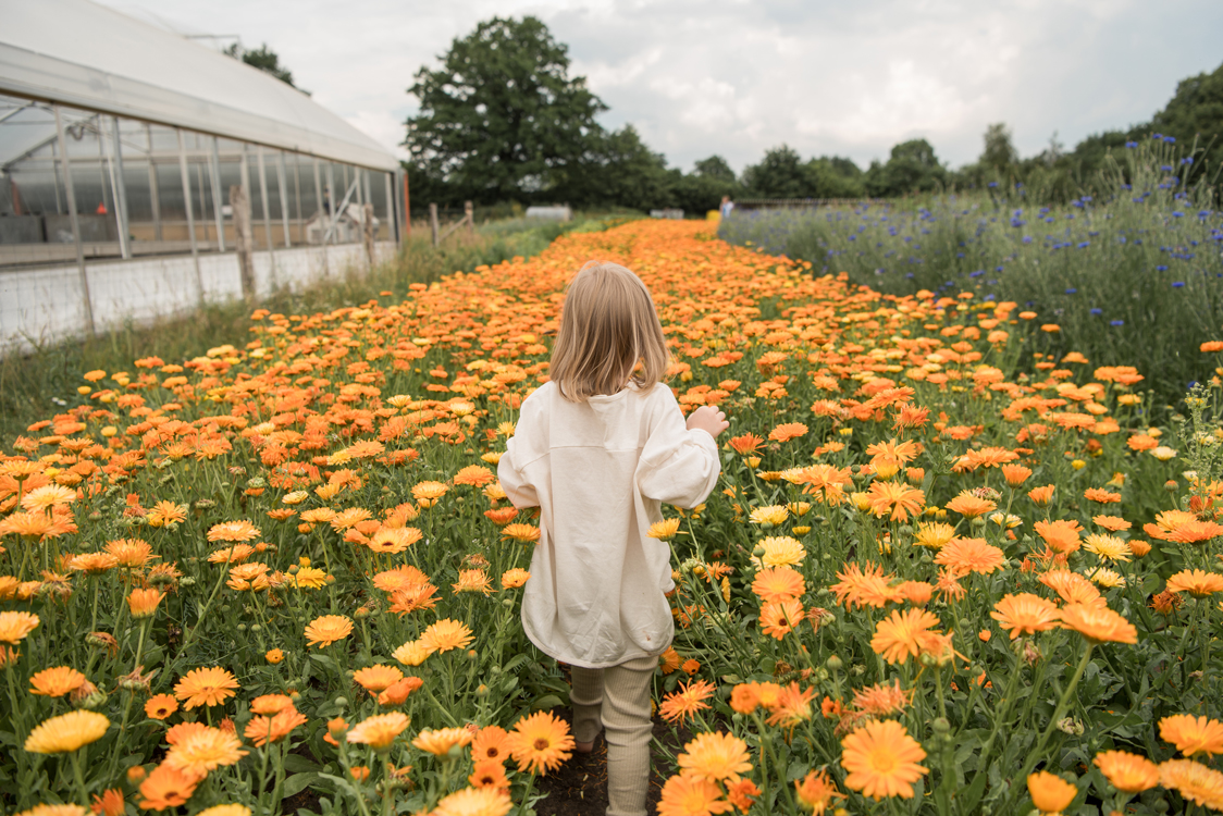 Kidsfotografie in Hamburg auf dem Land mit Blumen auf einer Blumenwiese