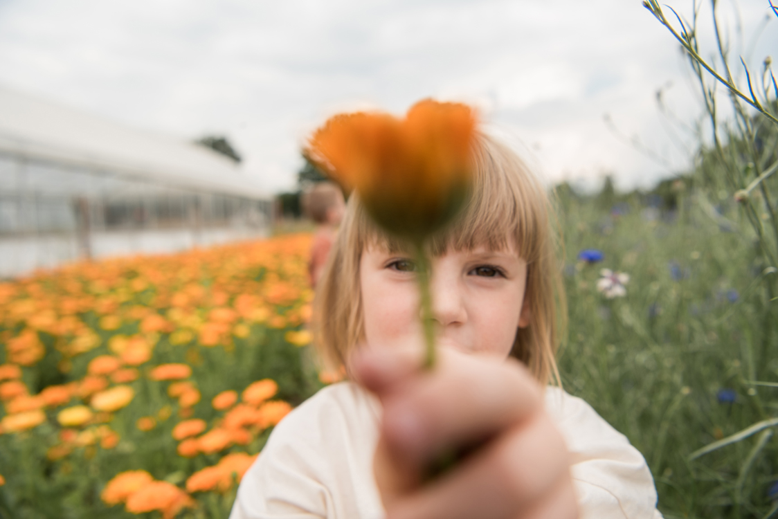 Kidsfotografie in Hamburg auf dem Land mit Blumen auf einer Blumenwiese