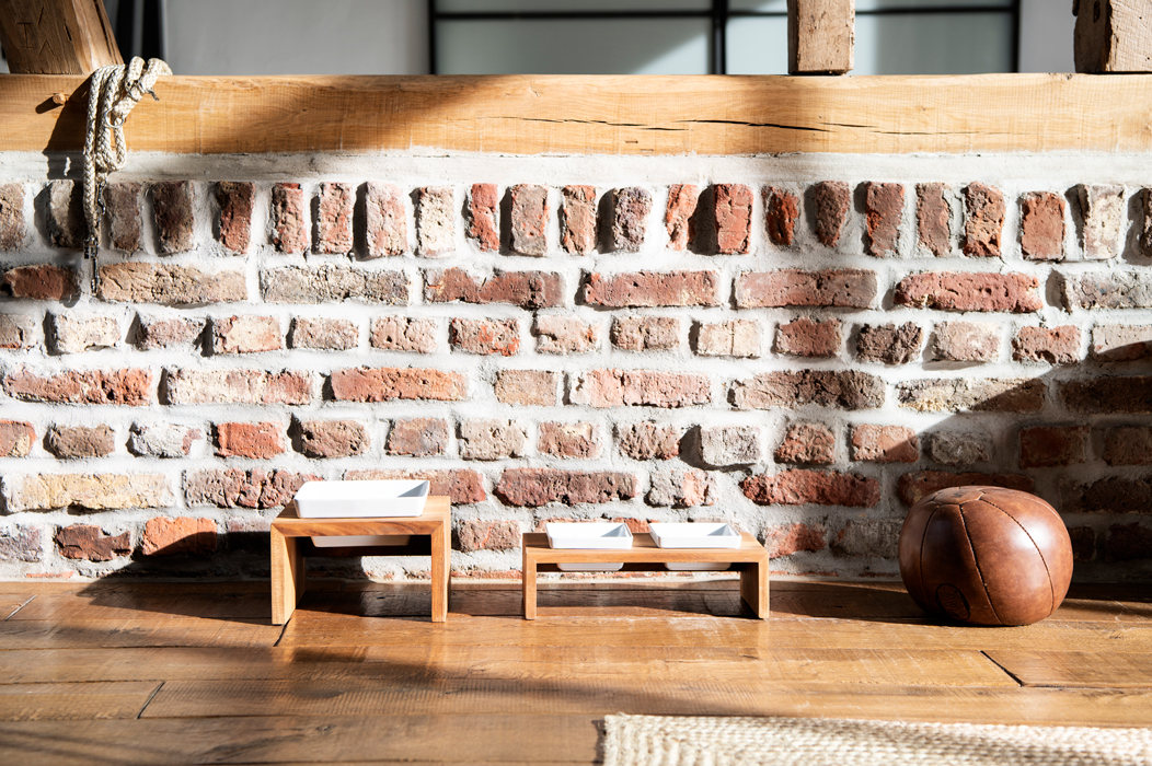 Stilllife mit Hund Produkt und Lifestylefotografie in Hamburg on Location