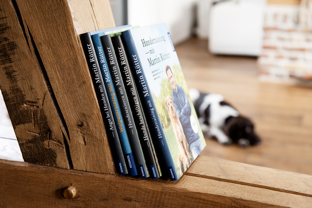 Stilllife mit Hund Produkt und Lifestylefotografie in Hamburg on Location