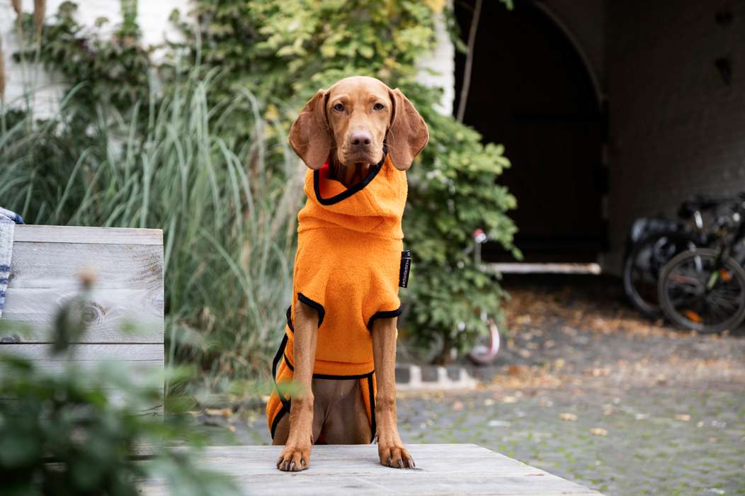 Portait und Lifestyle Bilder mit Hund Hamburg Köln