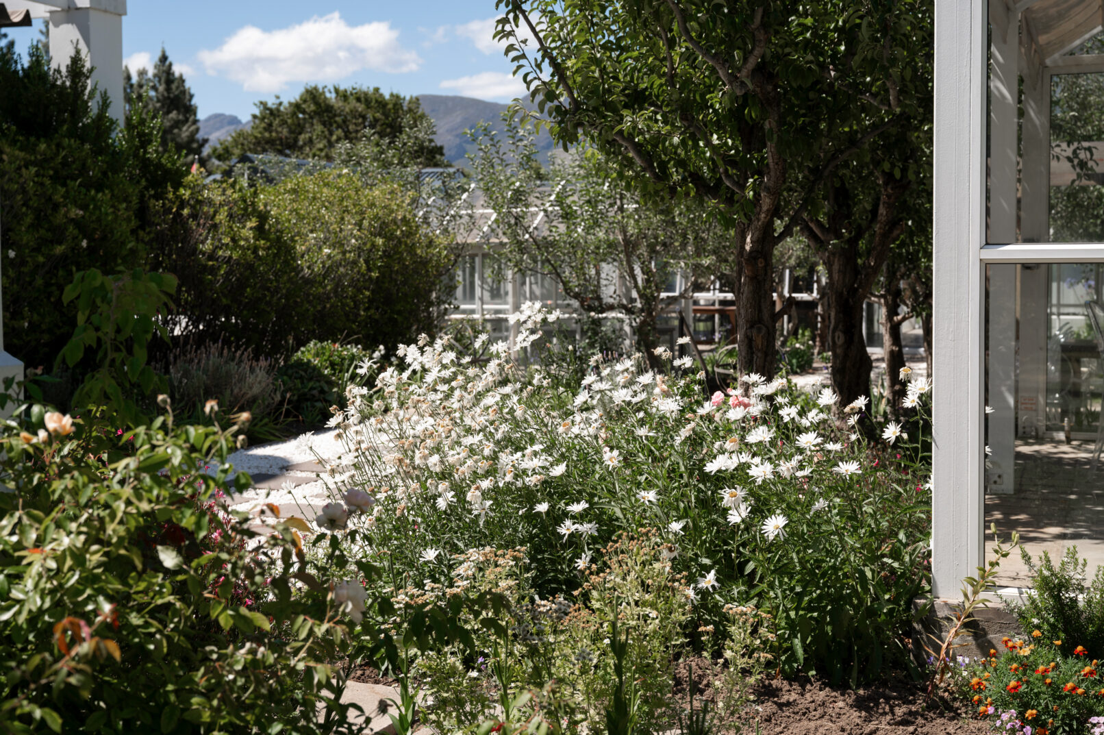 Garden furniture Shooting plant sustainable