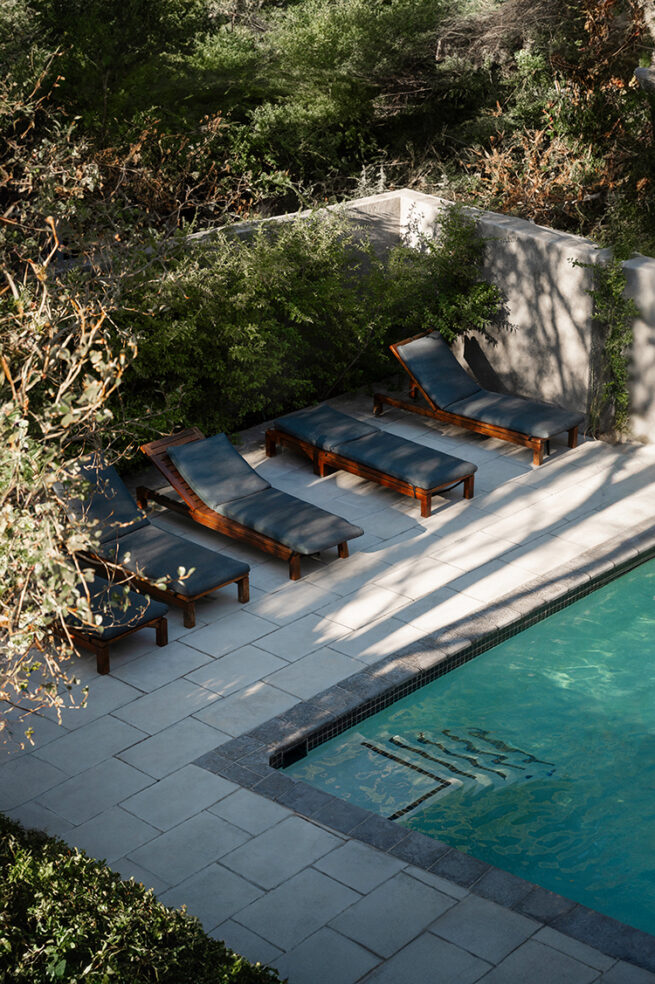 Garden furniture Shooting plant sustainable