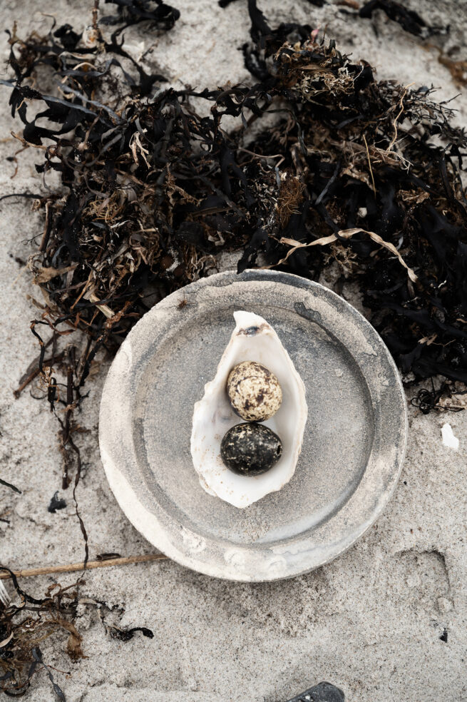 Portrait and Product photography at the beach stilllife