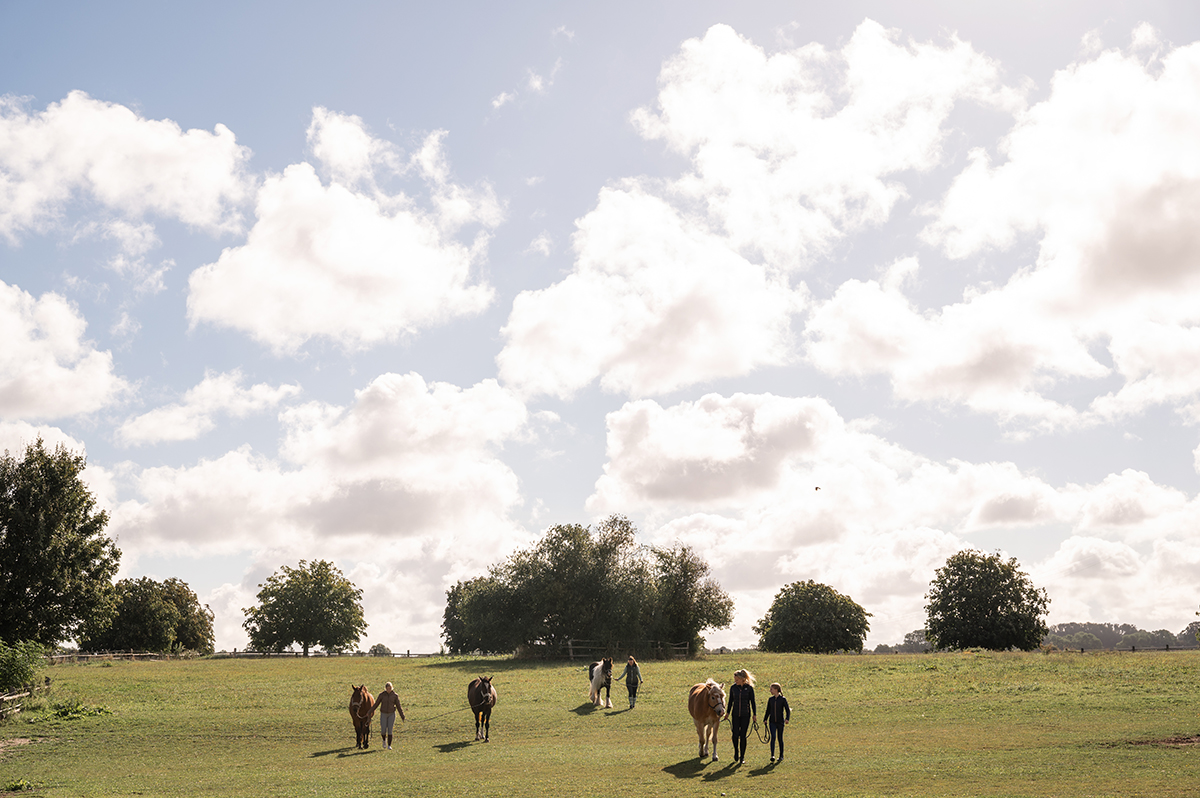 Landschaftsfotografie Hotel destination Pferde Reiten