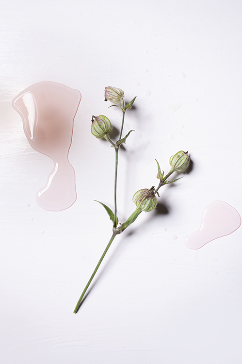 Editorial tableware still life featuring glassware with floral details, styled for hospitality and lifestyle brands