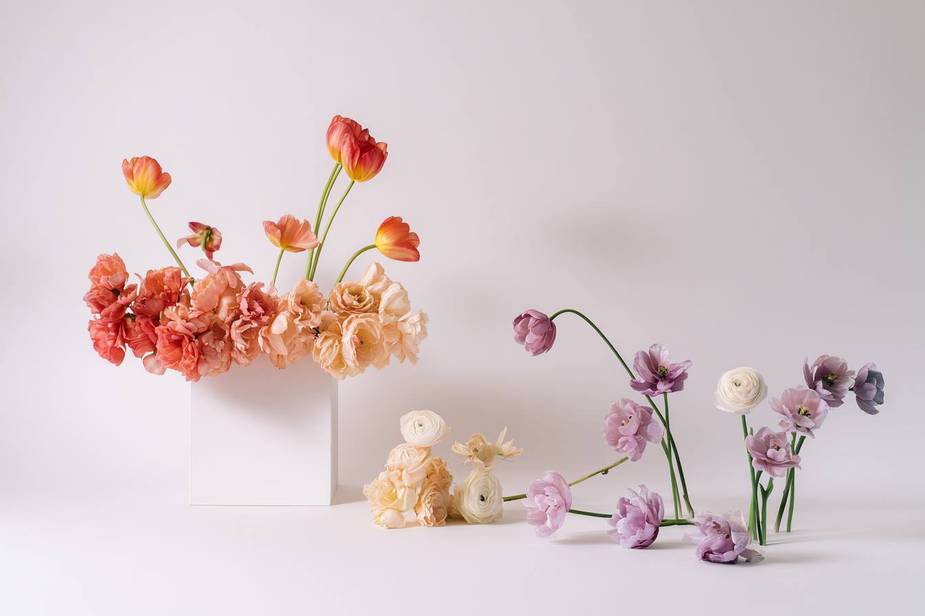 Editorial Stillleben mit pastellfarbenen Blumen auf minimalistischem Studio-Set
